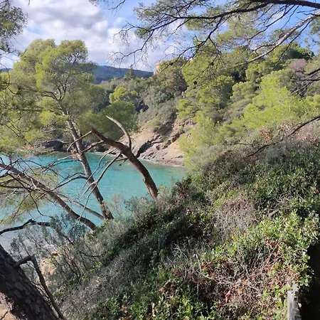 Grand T2 Luxe Classe 4**** - Plein Sud Et Tres Calme Au Lavandou *