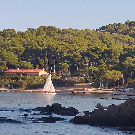 Grand T2 Classe 4 Etoiles - Plein Sud Et Tres Calme Au Lavandou * لو لا فاندو