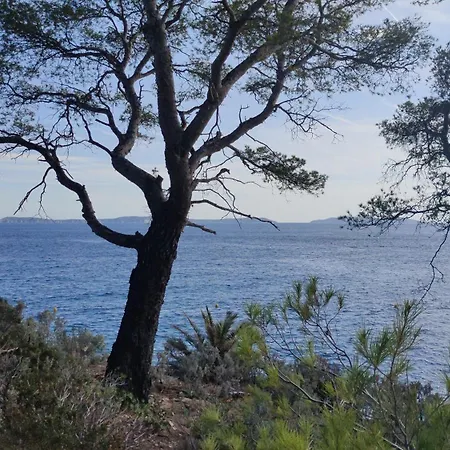 Appartamento Grand T2 Luxe Classe 4**** - Plein Sud Et Tres Calme Au Lavandou Le Lavandou