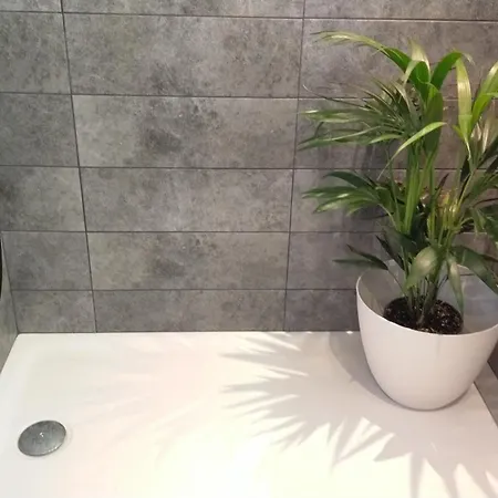 Grand T2 Luxe Classe 4**** - Plein Sud Et Tres Calme Au Lavandou Appartamento *